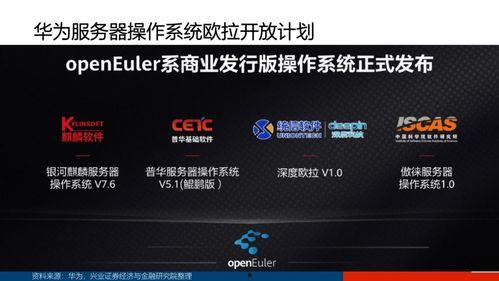 国产页,引领时代潮流的国产力量